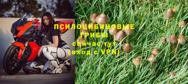метадон Карпинск