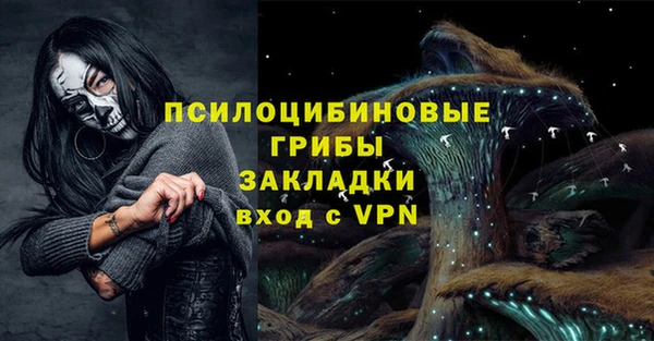 винт Шали