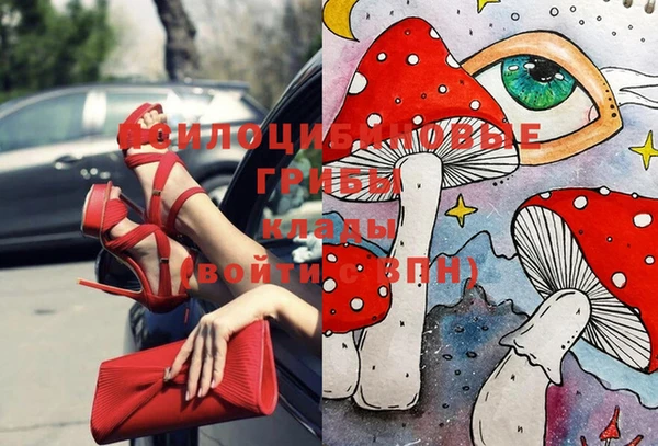 метадон Карпинск