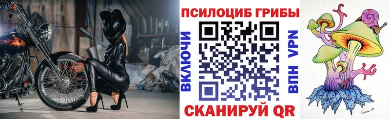 Псилоцибиновые грибы Magic Shrooms  Ижевск 