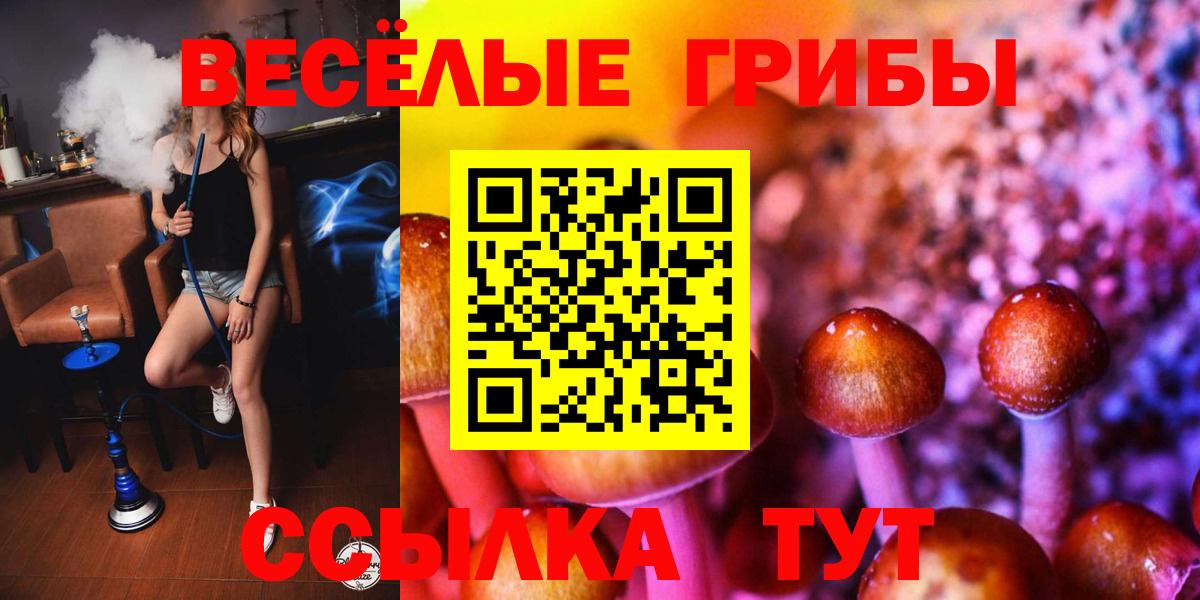 Ижевск  Псилоцибиновые грибы Cubensis  Вход с VPN 
