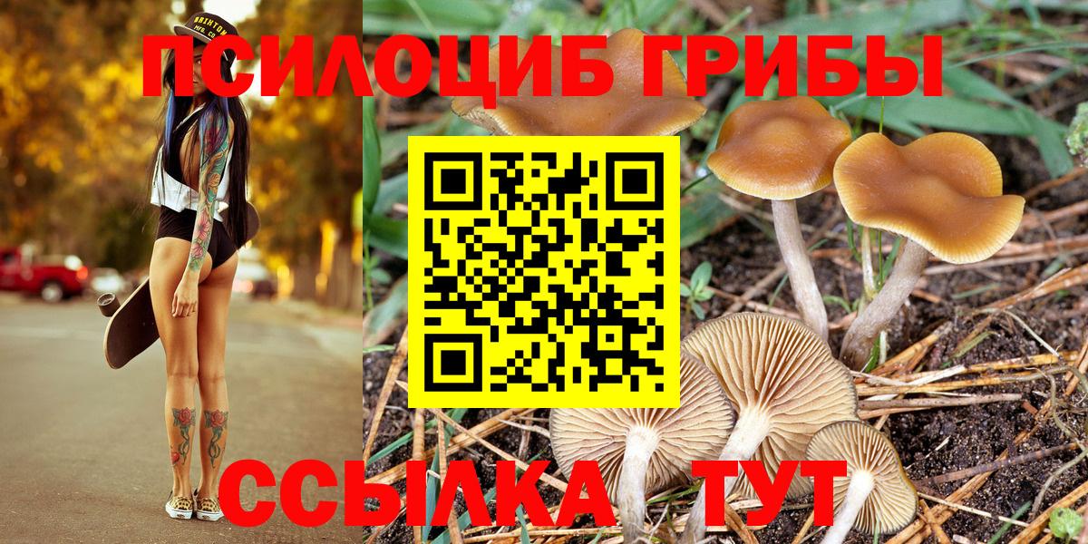 Псилоцибиновые грибы Magic Shrooms Ижевск